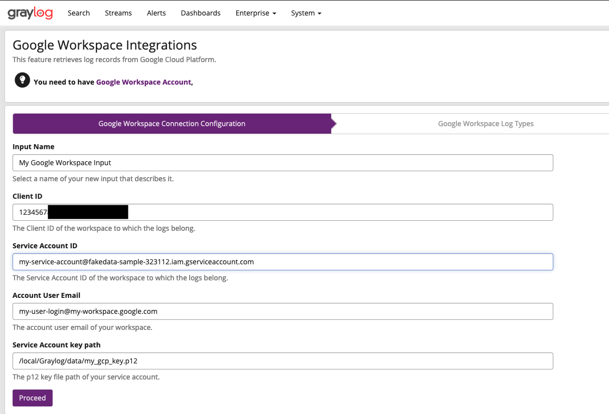 workspace-graylog-input